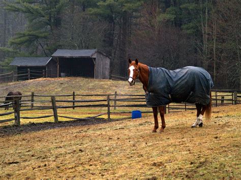 How to Waterproof Horse Blankets – Just for my Horse