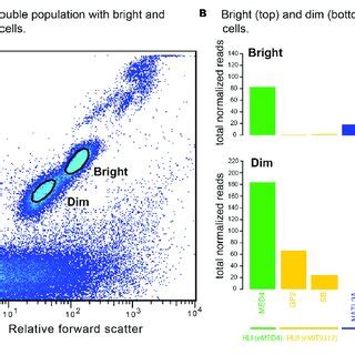 (PDF) Dynamics of Prochlorococcus Diversity and Photoacclimation During ...