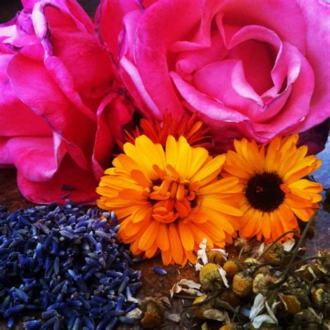 How to Make Homemade Facial Astringents: Recipe for a Fresh Flower ...