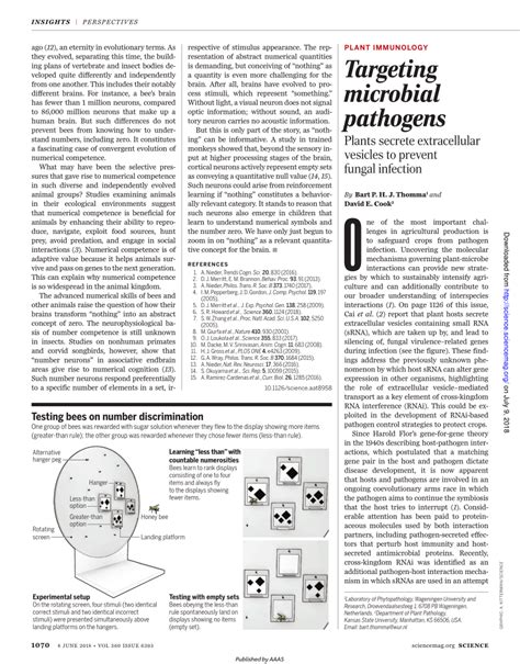 (PDF) Targeting microbial pathogens