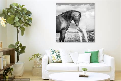 BLACK AND WHITE Horse Print, Large Horse Prints