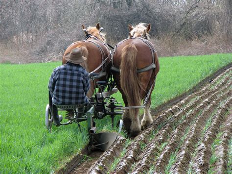 Fjordworks: Plowing the Market Garden Part 2 - Small Farmer's JournalSmall Farmer's Journal