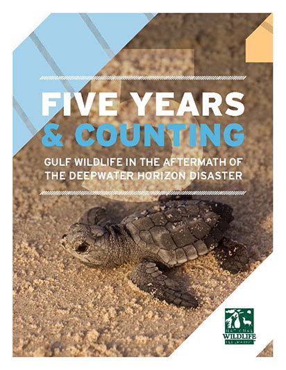 New Report: Five Years after Deepwater Horizon, Wildlife Still Struggling