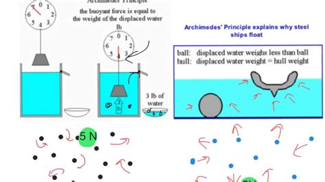 The Buoyant Force and Archimedes Principle - YouTube