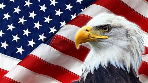 North American Bald Eagle on American flag – Cremation Services