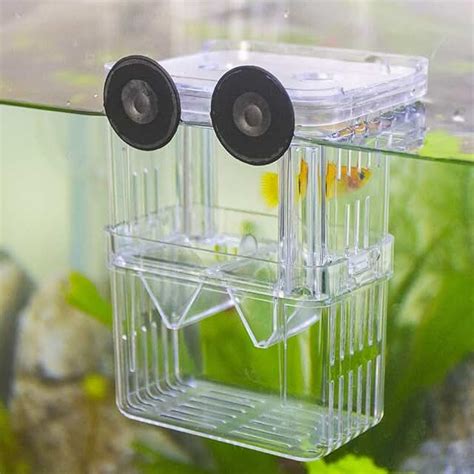 Fish Breeding Tanks - Amazon.com