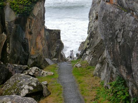 Jim and Bev: Hiking near Harris Beach State Park and Eureka, CA