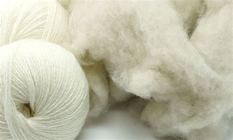 Pascuali Organic Cashmere Yarns | 100% Cashmere fibre | Pascuali yarn store | merino wool ...