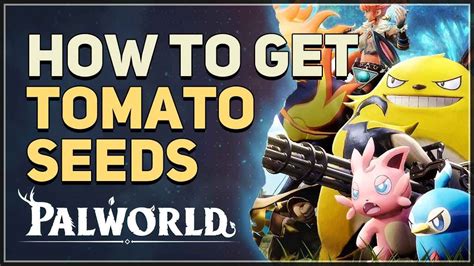 How to get Tomato Seeds Palworld - YouTube