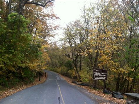 Pequea Creek Campground - 4 Photos - Pequea, PA - RoverPass