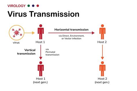 Is Vertical Transmission of SARS-CoV-2 Possible?