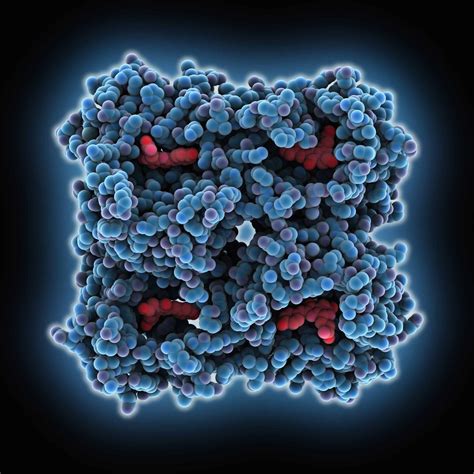 mCherry mRNA | Vernal Biosciences