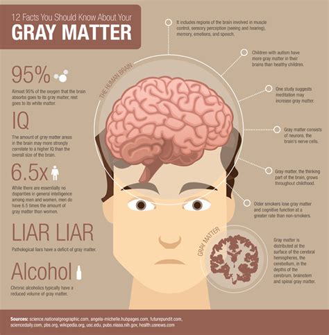 Facts About Gray Matter | The Greatest Structure on the Planet