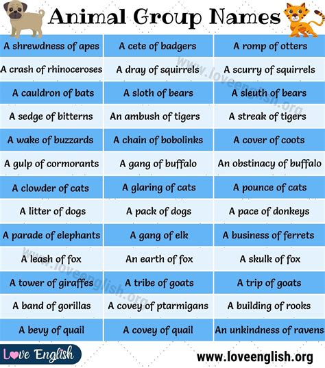 Groups of Animals: 110+ Interesting Collective Nouns for Animals - Love English