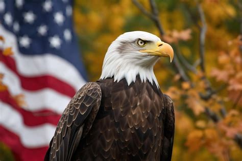 Premium AI Image | A bald eagle perched on a tree branch with an American flag in the backgroun