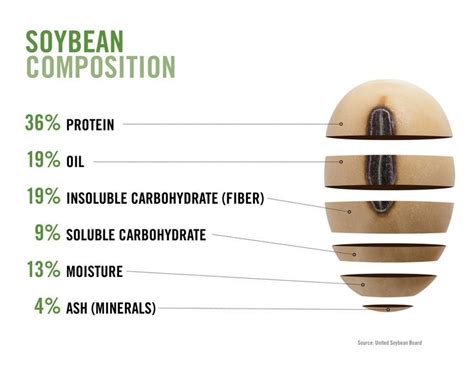 Soybean Part - Agricultural & Biological Engineering - Purdue University