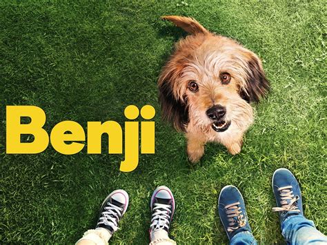 Benji: Trailer 1 - Trailers & Videos - Rotten Tomatoes