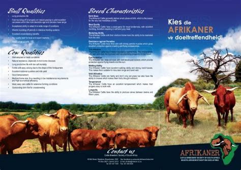 Breed Characteristics - The Afrikaner Cattle Breeders' Society of ...