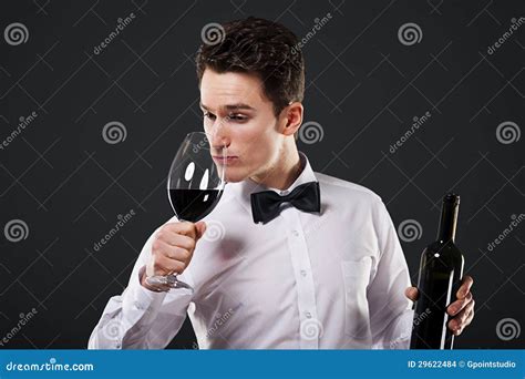 Connoisseur of wine stock photo. Image of alcohol, order - 29622484