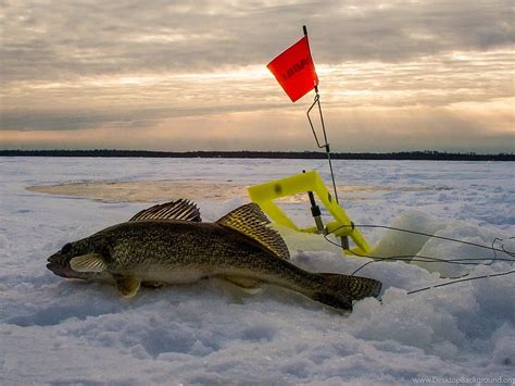 Walleye Ice Fishing Red Lake MN January 8 11, 2015 YouTube Backgrounds HD wallpaper | Pxfuel