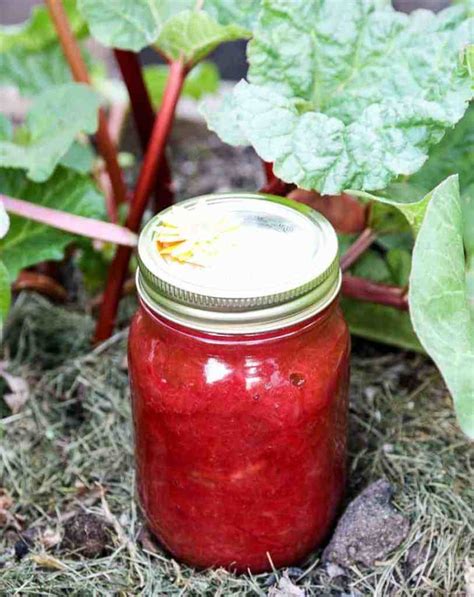 Simple Rhubarb Jam - Homemade Rhubarb Jam | The Food Blog