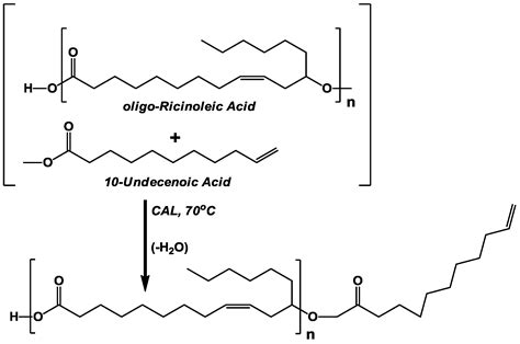 Polymers | Free Full-Text | Modification of oligo-Ricinoleic Acid and Its Derivatives with 10 ...