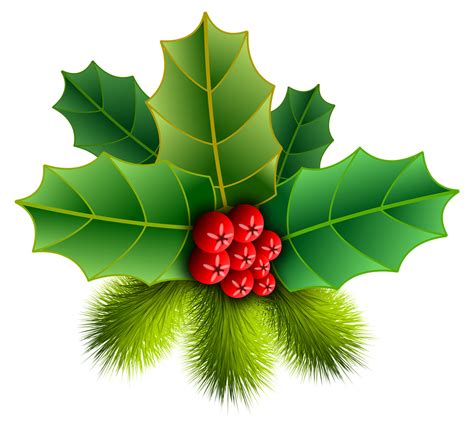 Christmas Holly Pinheiro - Free image on Pixabay