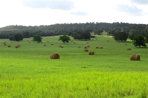 Hay field Photograph by Lindy Pollard - Fine Art America