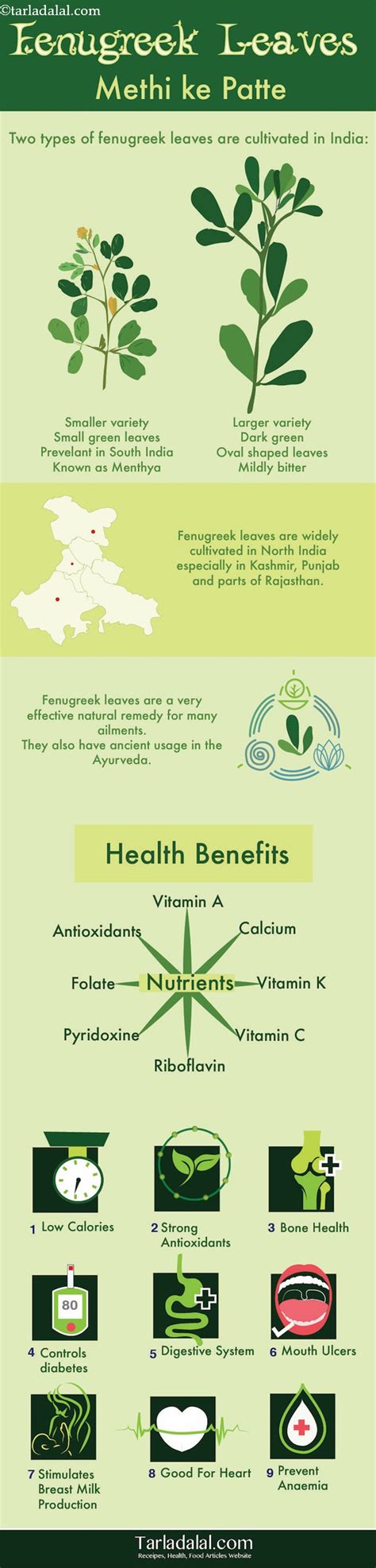 9 Benefits of Fenugreek Leaves + Healthy Indian Methi leaves Recipes