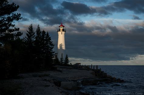 Lake Superior Lighthouse Keeping at Crisp Point | 365 Days of Birds