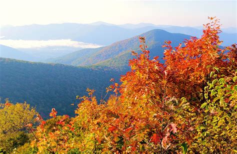 Asheville NC Fall Foliage Color Leaf Report 2014 | Nc mountains, Fall ...