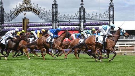 Melbourne Cup glory: Mark Zahra times challenge perfectly to ride Gold ...