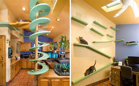 Man With 18 Cats Spends $35,000 On Turning His Home Into A Cat Paradise | Bored Panda