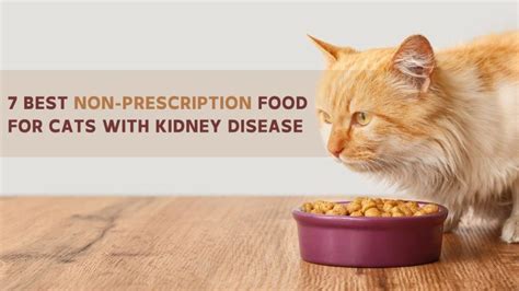 7 Best Non-Prescription Food For Cats With Kidney Disease