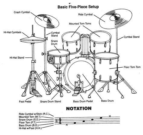 basic five piece drum set, back view | Drum lessons, Drum patterns, Drum sheet music