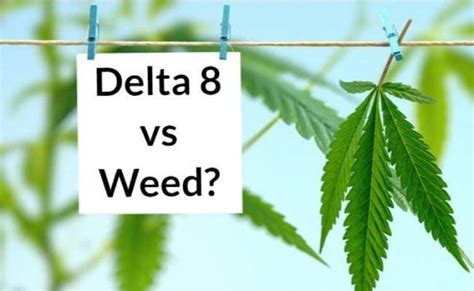 Delta 8 THC Vs. Delta 9 THC - What Is The Difference?