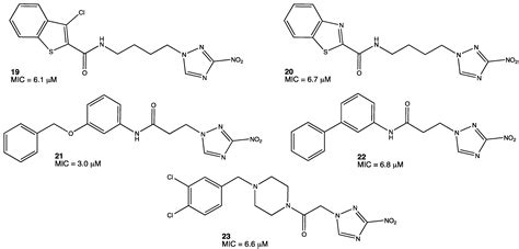 The Diverse Biological Activity of Recently Synthesized Nitro Compounds