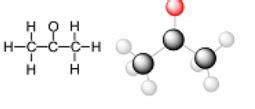 Predict the hybridization at each carbon atom in the mentioned molecule. Acetone (a common ...