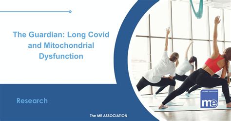 The Guardian: Long Covid and Mitochondrial Dysfunction - The ME Association