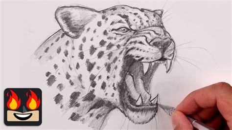 How To Draw a Jaguar - YouTube