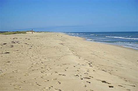 Yoga at Long Point - The Martha's Vineyard Times