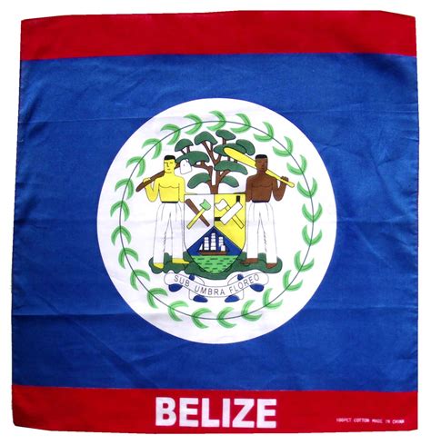 Flag Of Belize - A Symbol Of Prosperous Country