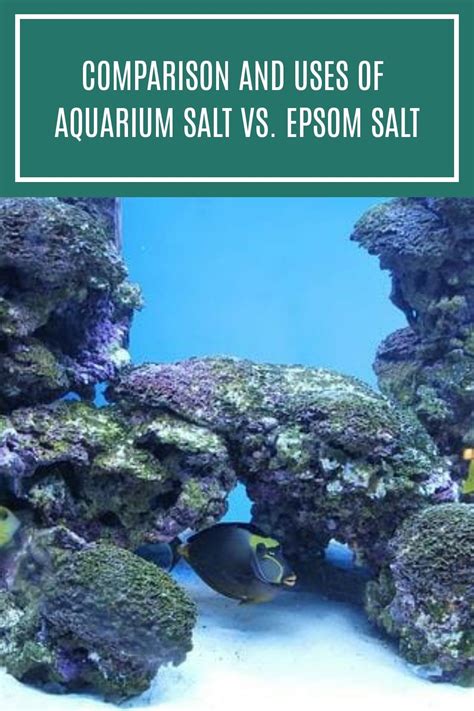 Aquarium salt vs epsom salt comparison and uses – Artofit