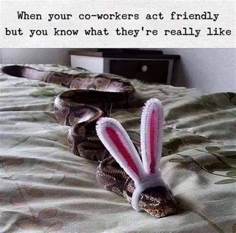 50 Hilarious Toxic Workplace Memes | Work + Money