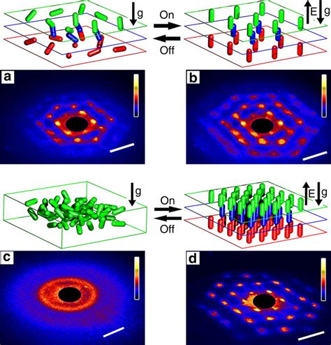 Laser diffraction patterns of crystal switching. The field was... | Download Scientific Diagram