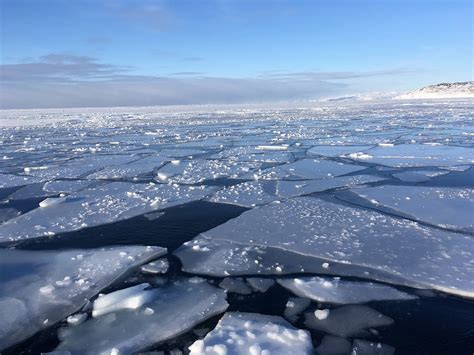 TOURIST NATURE - DAY TOURS (Ilulissat) - All You Need to Know BEFORE You Go