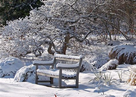 Winter Landscapes: What’s missing in yours? « Green Peak Landscaping ...