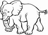 Free Printable Elephant Coloring Pages For Kids sketch template