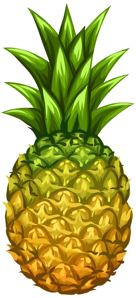 clip art pineapple 20 free Cliparts | Download images on Clipground 2024