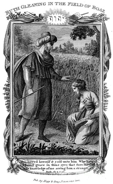 Ruth Gleaning In The Field Of Boaz Drawing by Print Collector | Fine Art America